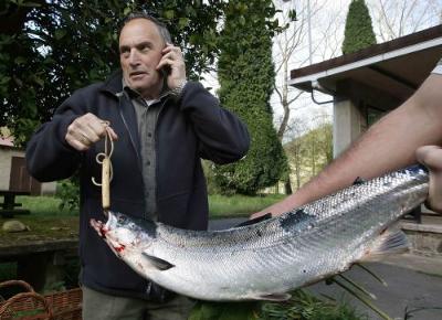 First Salmon, 2008